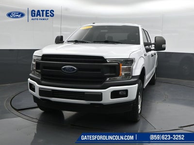 2019 Ford F-150 XL
