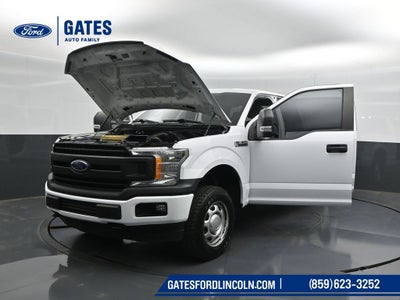 2019 Ford F-150 XL