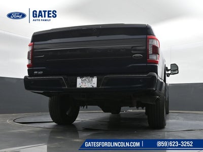 2022 Ford F-150 Platinum