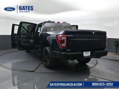 2022 Ford F-150 Platinum