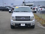 2010 Ford F-150 Platinum