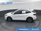 2023 Ford Escape Hybrid ST-Line Select