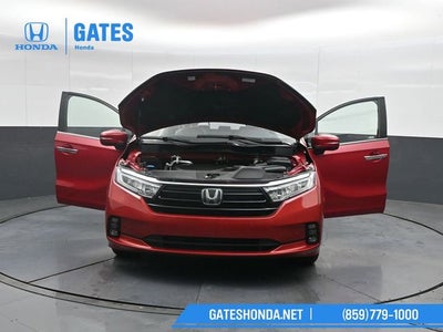 2024 Honda Odyssey Touring