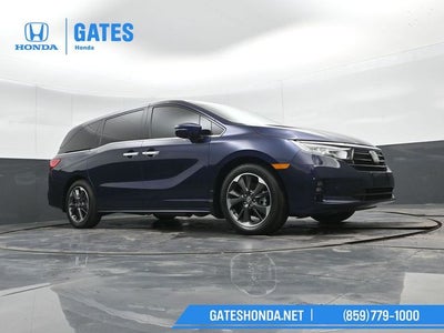 2024 Honda Odyssey Elite