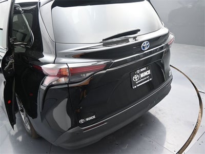 2024 Toyota Sienna XLE 7 Passenger