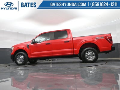 2021 Ford F-150 XL