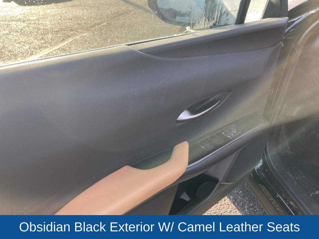 2025 Lexus UX 300h Premium