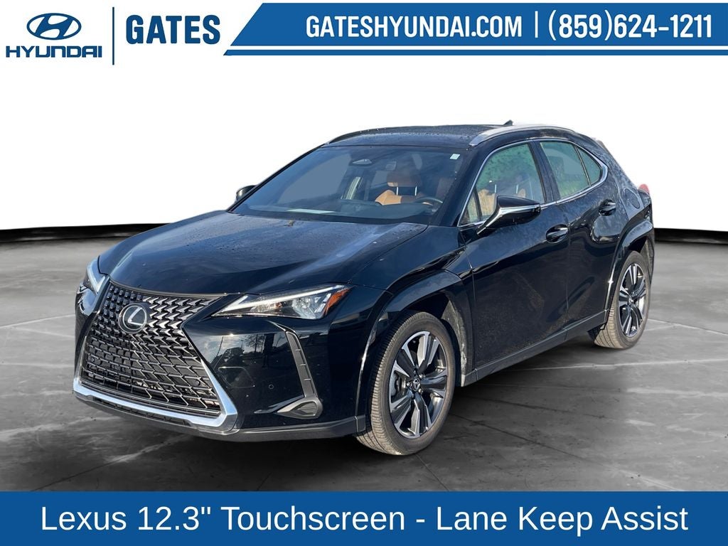2025 Lexus UX 300h Premium