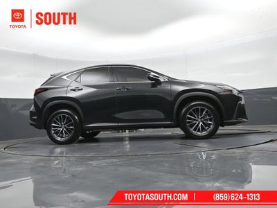 2024 Lexus NX 350h Luxury