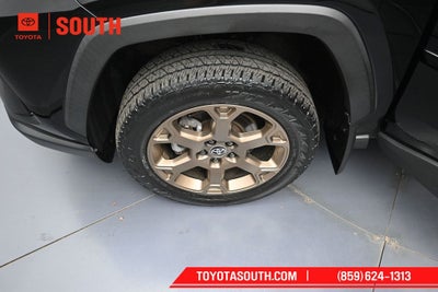 2024 Toyota RAV4 Hybrid Woodland Edition