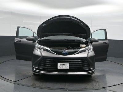 2023 Toyota Sienna XLE 7 Passenger