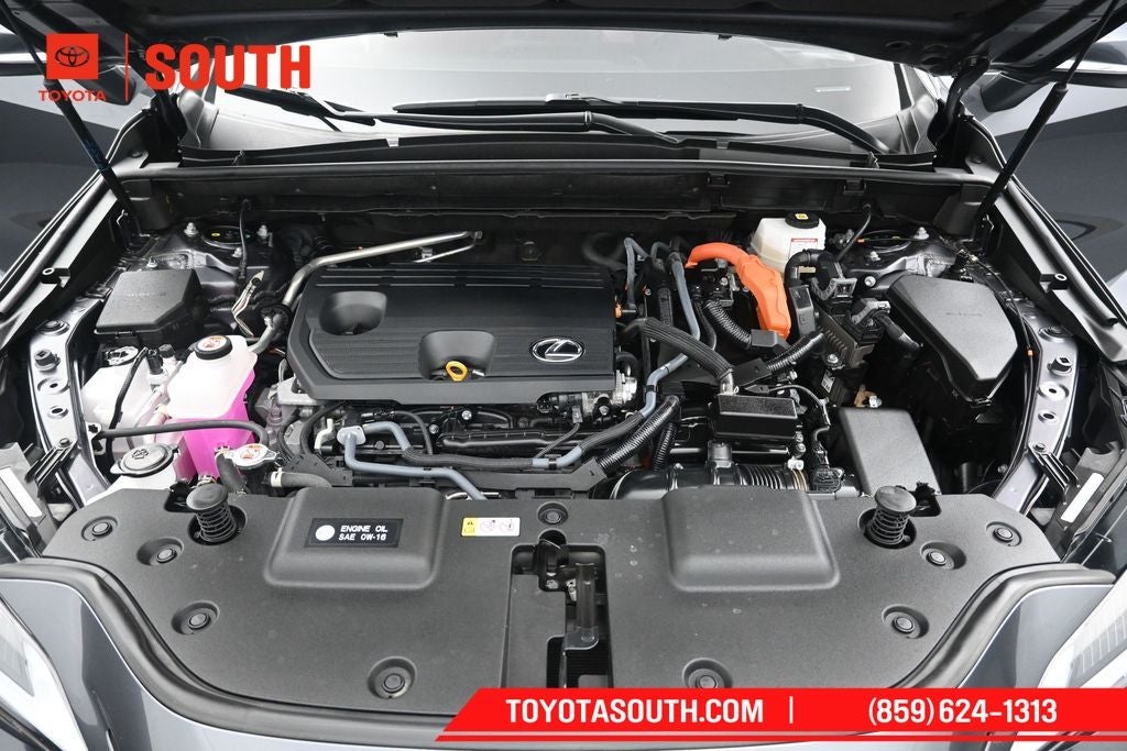 2024 Lexus NX 350h Base