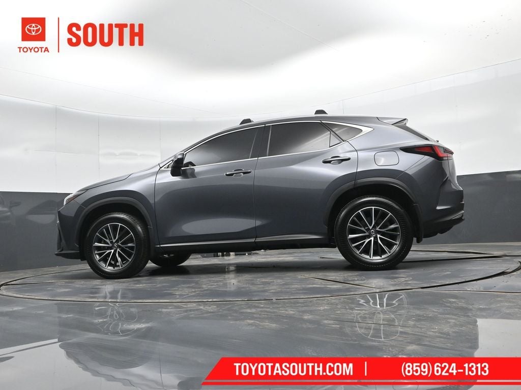 2024 Lexus NX 350h Base