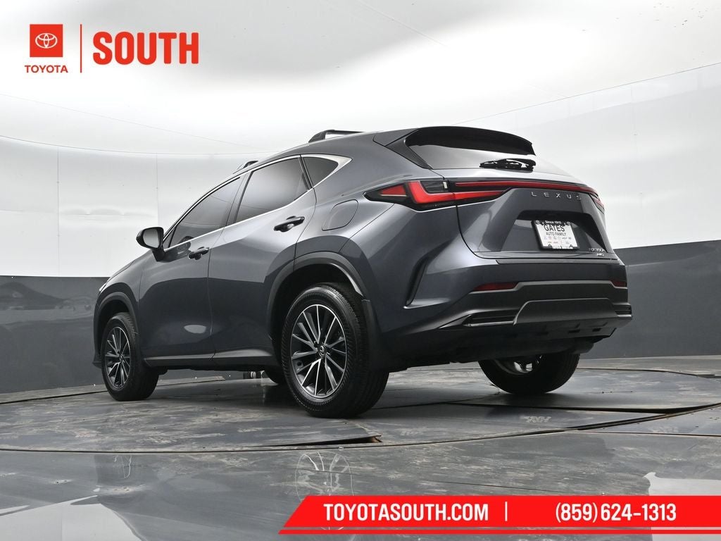 2024 Lexus NX 350h Base
