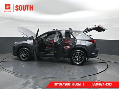 2024 Lexus NX 350h Base