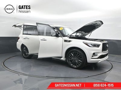 2024 INFINITI QX80 Sensory