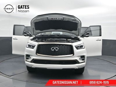 2024 INFINITI QX80 Sensory