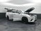 2024 Lexus TX TX 350 Premium