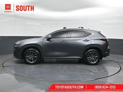 2024 Lexus NX NX 350h
